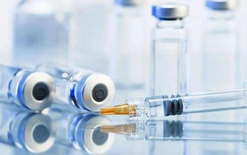 国产牛疫苗视频,守护畜牧健康，助力乡村振兴